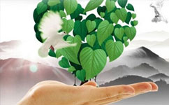 “三項建設”加快全民健康信息化