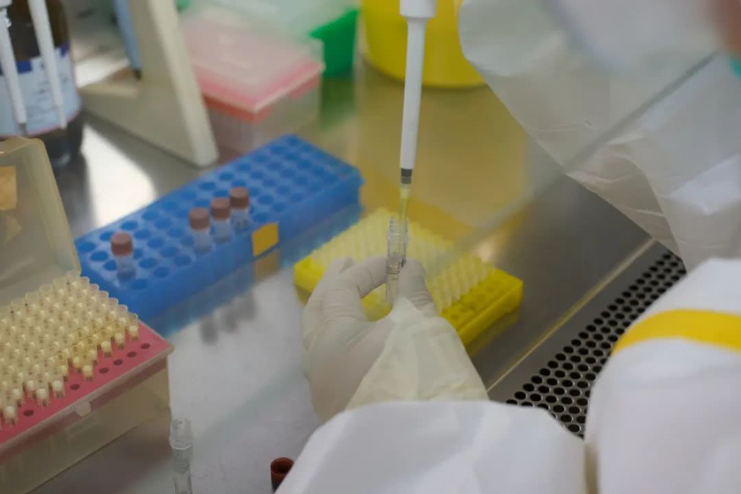 核酸檢測又降價！多地增設(shè)24小時檢測服務(wù)機構(gòu)